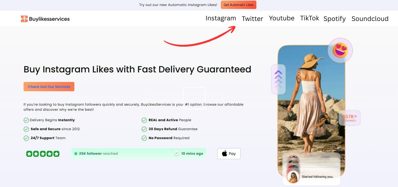 buylikesservices all services