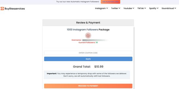 coupon codes for buy instagram likes