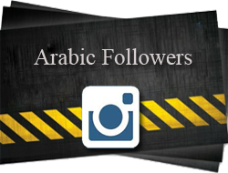 I will give you targeted 1000 high quality arab instagram fo for