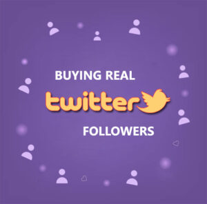 Buy Targeted Twitter Followers