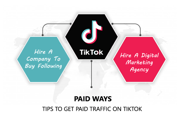 Buy TikTok Followers & Fans 