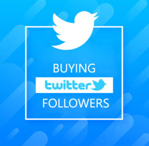 Buy Targeted Twitter Followers