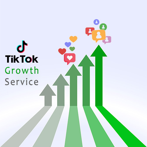 What Is A TikTok Growth Service