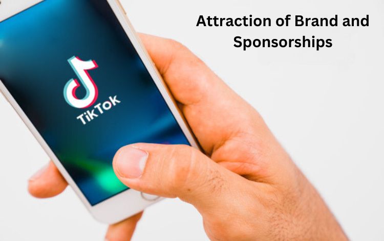 Attraction of Brand Partnerships and Sponsorships