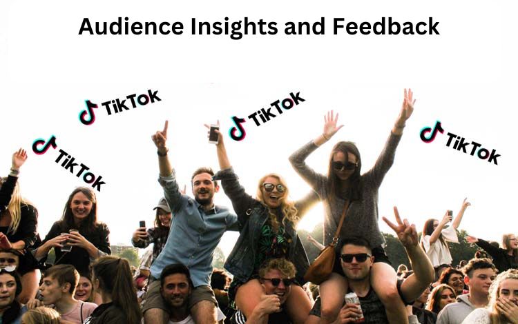 Audience Insights and Feedback